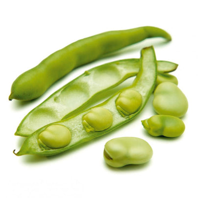 FEVES (KG)-الفول  الأخضر