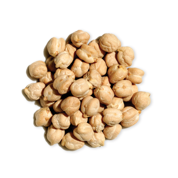 Pois chiche-الحمص