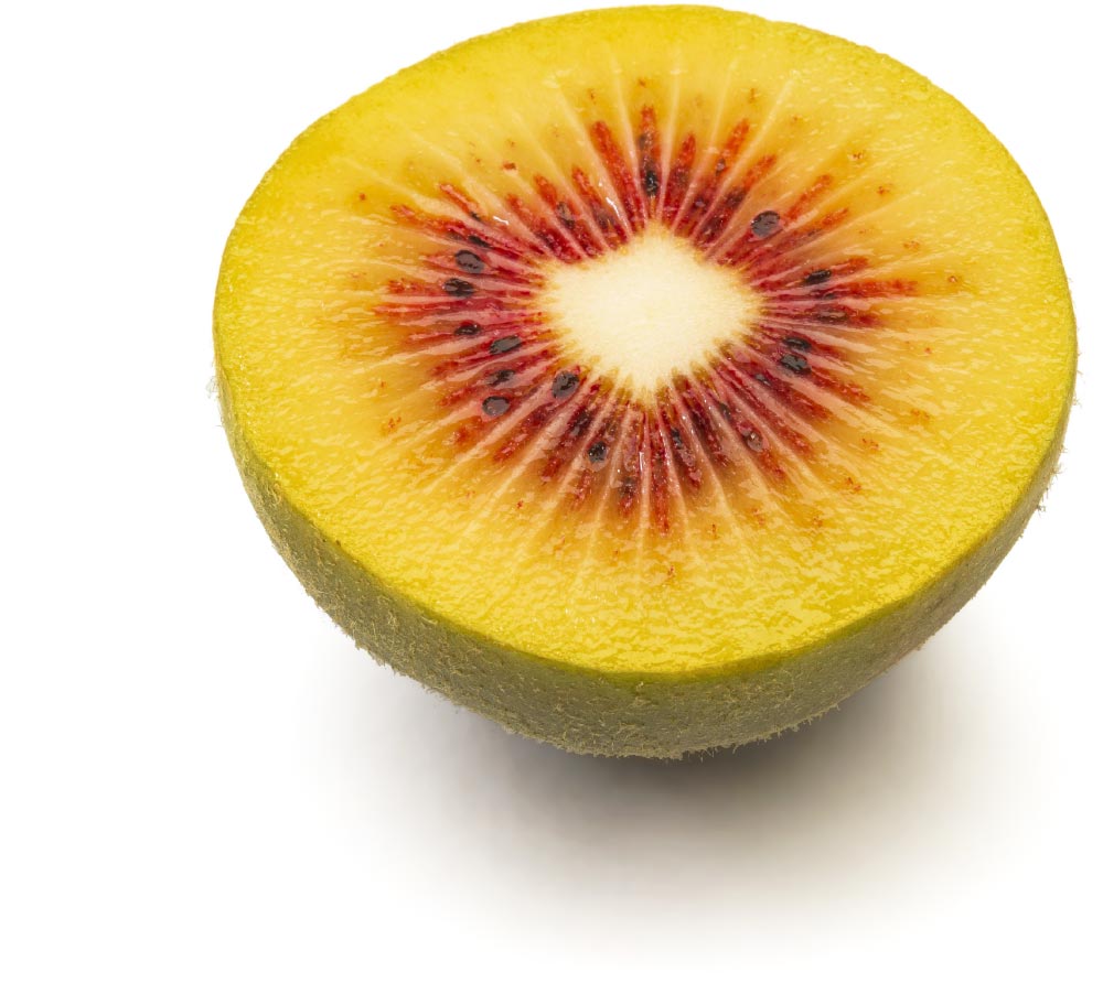 kiwi passion (KG) - كيوي باشن