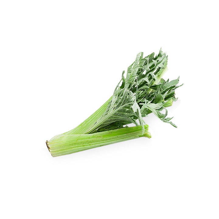 CARDON (U)- القردون