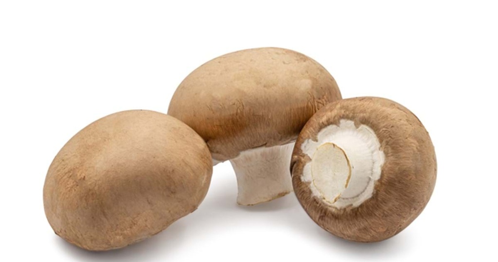 Champignon Brun (KG) - فطر بني