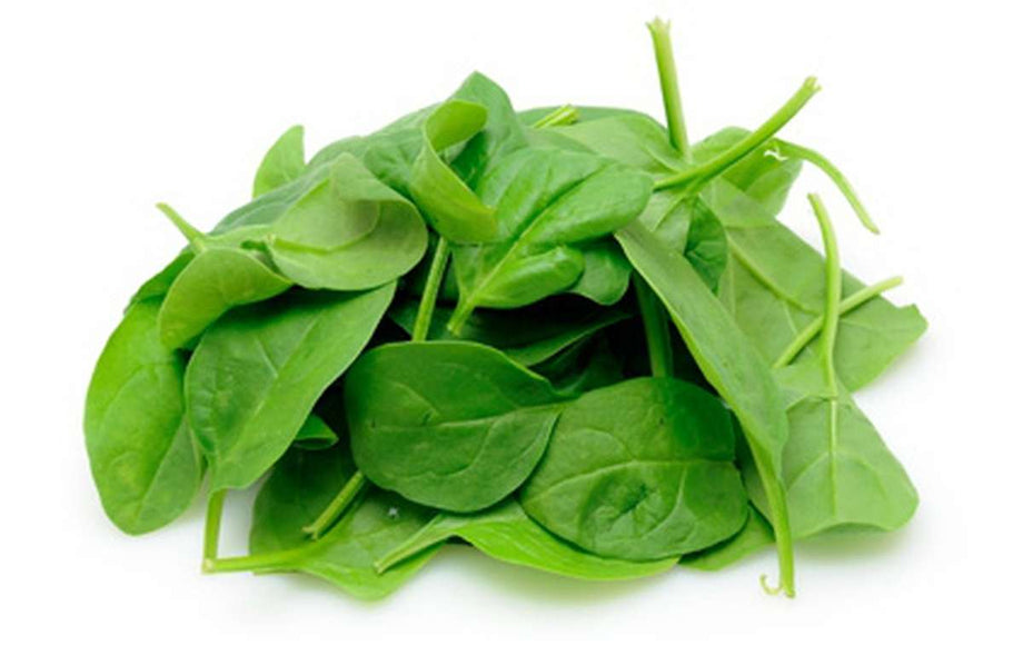 POUSSE EPINARDS - سبانخ صغيرة - (U)
