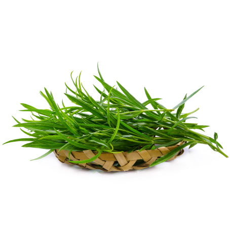 ESTRAGON (U)-الطرخون