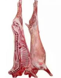 AGNEAU CARCASSE (KG) - خروف