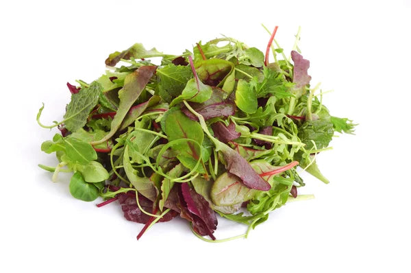 MESCLUN DE SALADE (U)-مزيج  السلطة