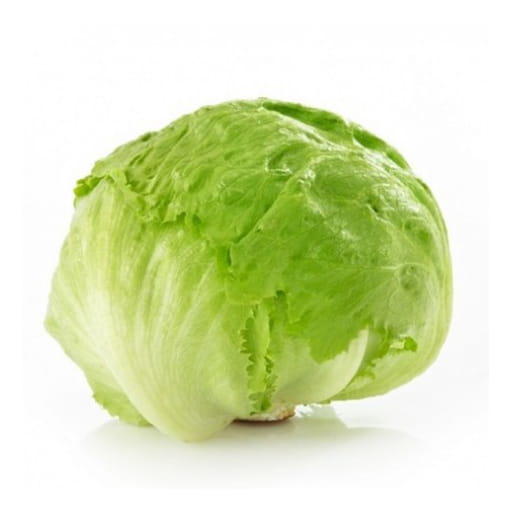 LAITUE ICEBERG - خس ايسبرغ - (U)