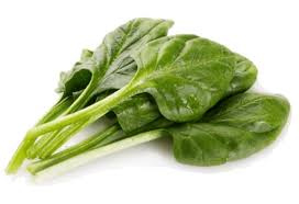 EPINARD (KG)-السبانخ