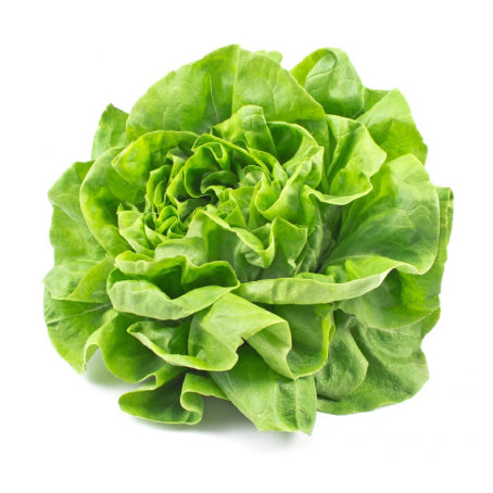 SALADE LAITUE (U) - الخس