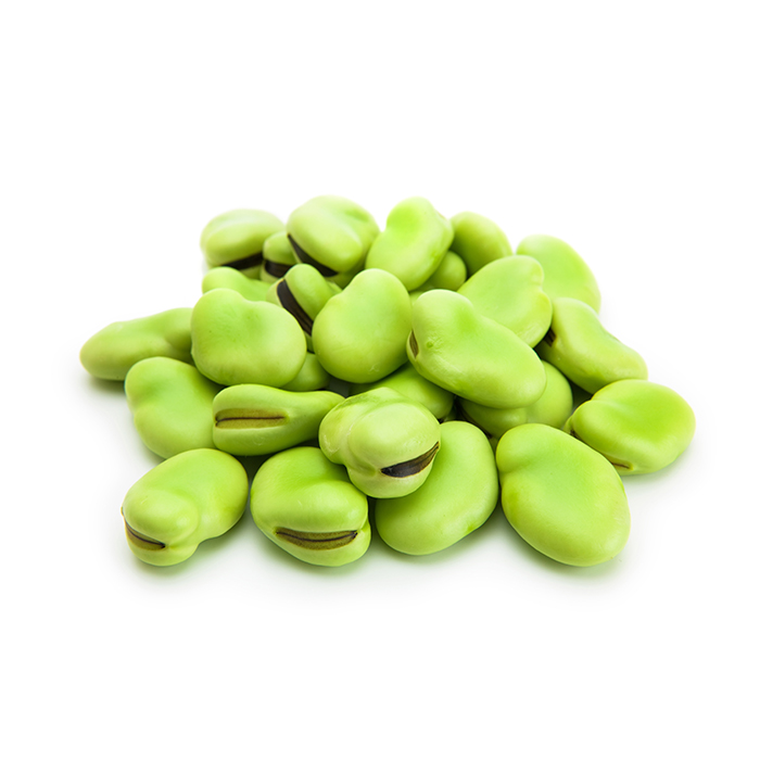 FEVES EPLUCHER-الفول  المقشر