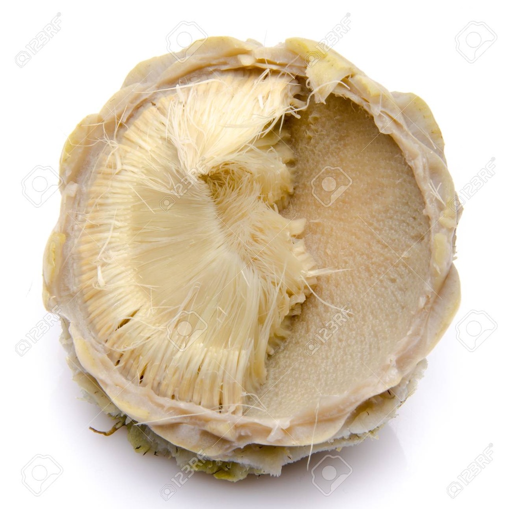 ARTICHAUT EPLUCHER (KG) - المقشر