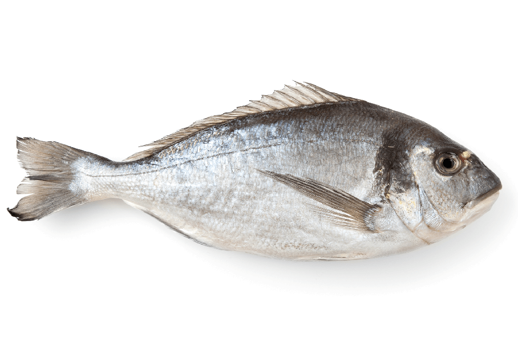 LA DORADE
