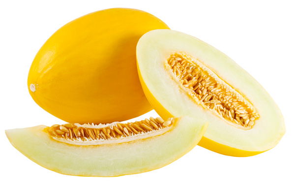 Melon canari