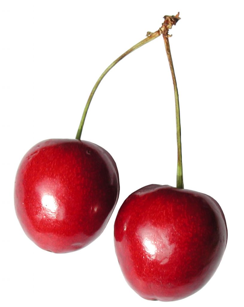 CERISE (KG)-لكرز