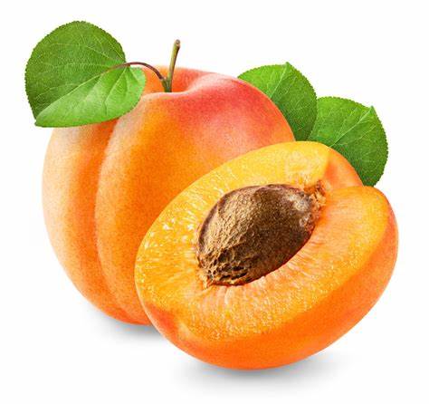 ABRICOT (KG) - مشمش