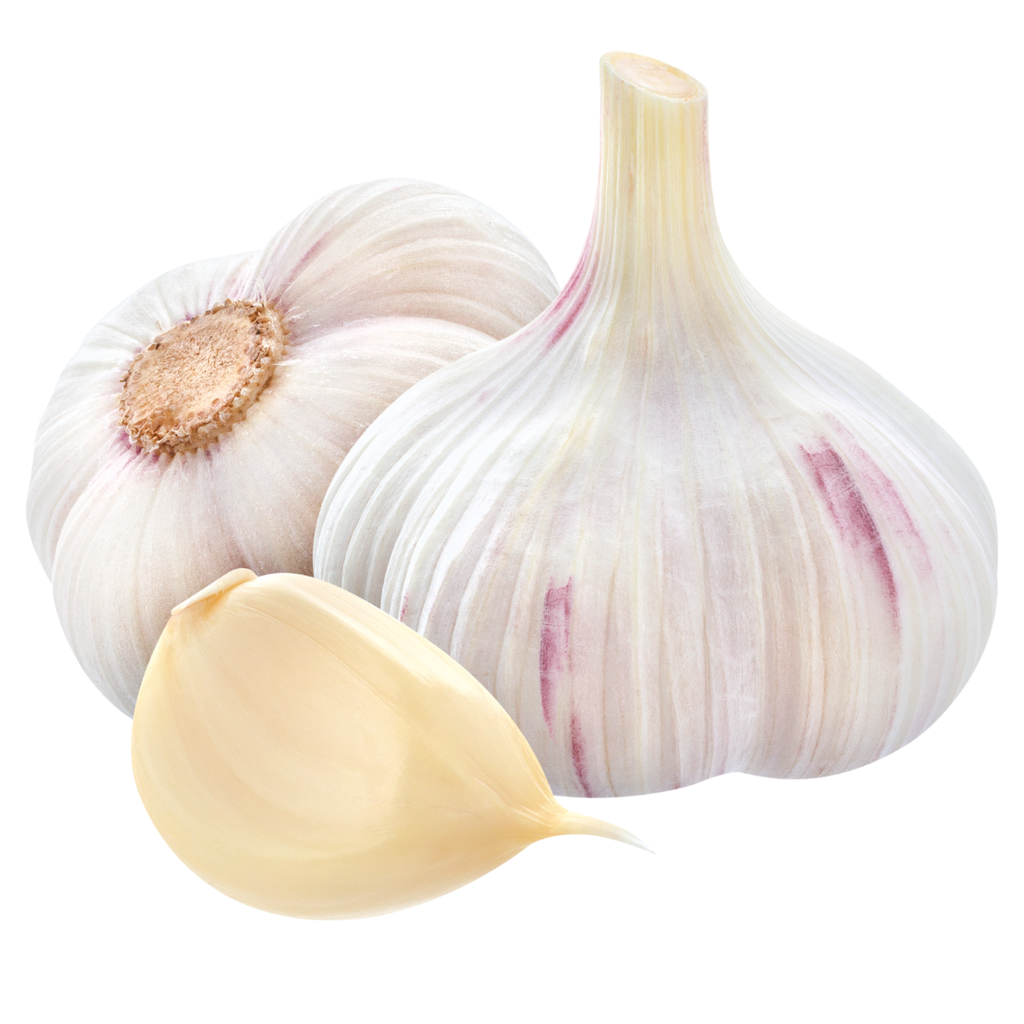 AIL (KG) - ثومة