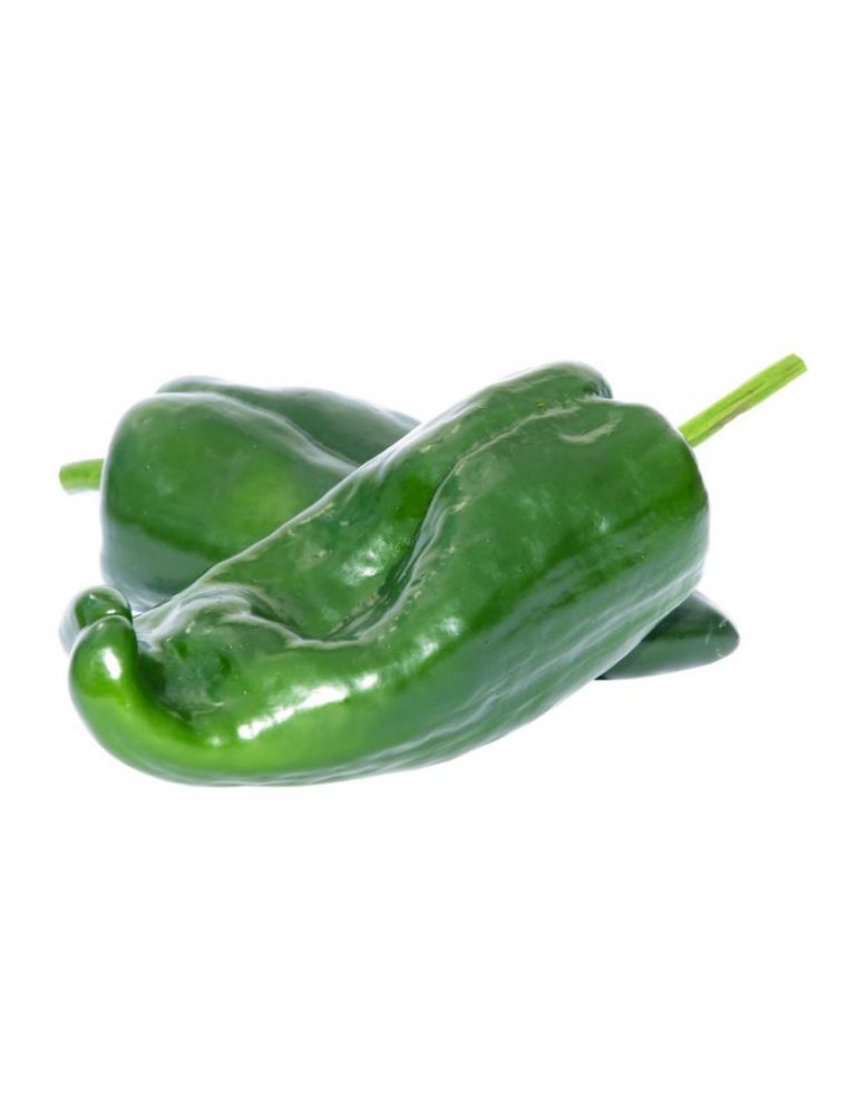 POIVRON VERT (KG) - الفلفل الأخضر