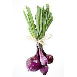 [2929642146151] OIGNONS BLANCHE - بصلة خضارية - (KG)