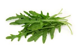 [2929836493108] ROQUETTE - الجرجير - (U)