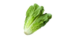 [FG-27] SALADE ROMAINE (U) - الخس الروماني