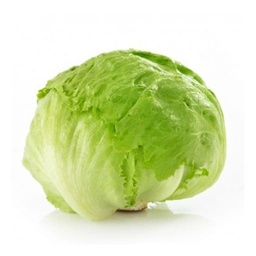 [2929358968351] LAITUE ICEBERG (U)-خس  آيسبيرغ