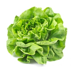 [FG-34] SALADE LAITUE (U) - الخس