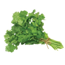 [2929482730497] CORIANDRE (U)-الكزبرة