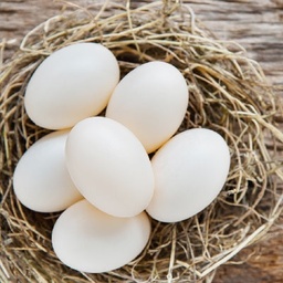 [2024436185443] OEUFS BELDI -بيض  بلدي