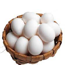 [2024436185443] OEUFS FERMIER-بيض  بلدي