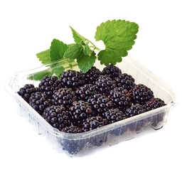 [2024192667191] MURES (BARQUETTE)-التوت الأسود