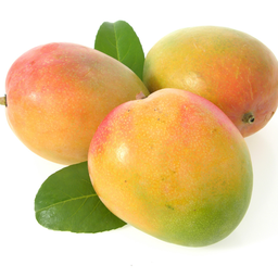 [2024919495519] MANGUE MARTINIQUE (KG)-مانجو  مارتينيك